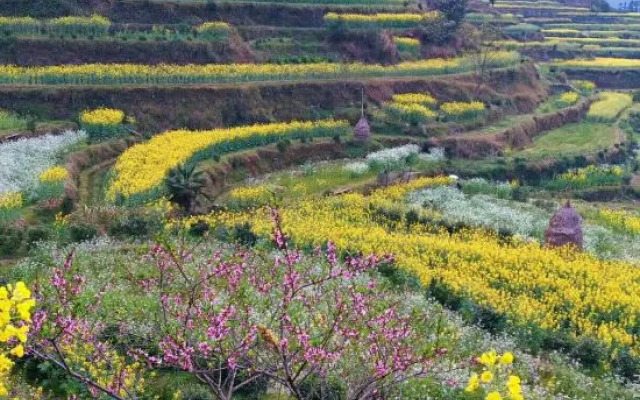 Jiangling Scenery Inn