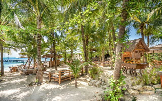 Mayan Monkey Isla Mujeres | Social Hotel