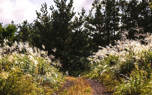 Seogwipo Log Village Pension