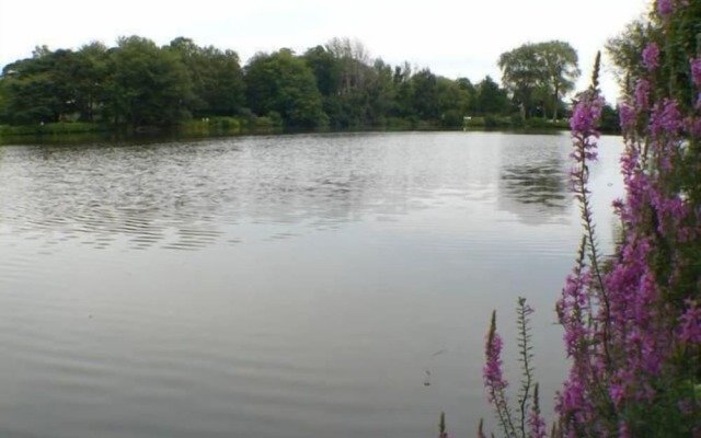 Walden on the Pond Hotel