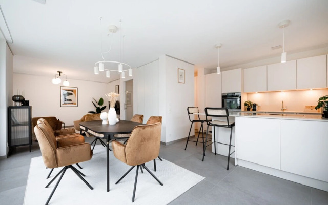 New high-end 2 BR Penthouse w Balcony