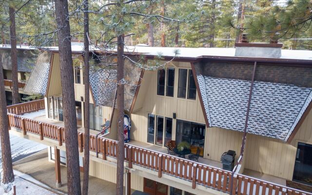 The North Lake Tahoe Ski, Snowboard And Sup Club