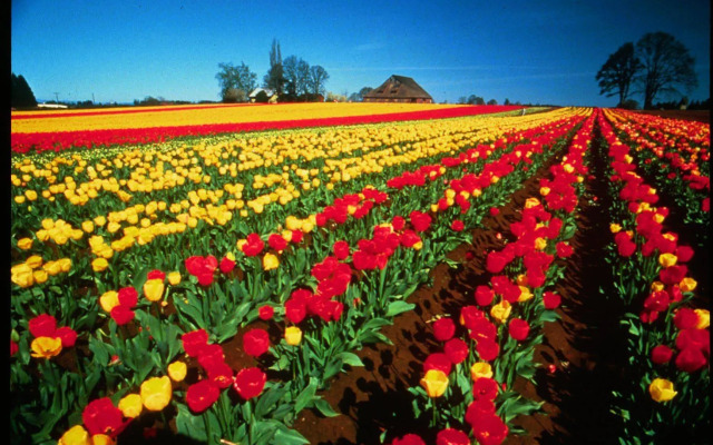 Hampton Inn & Suites Salem, OR