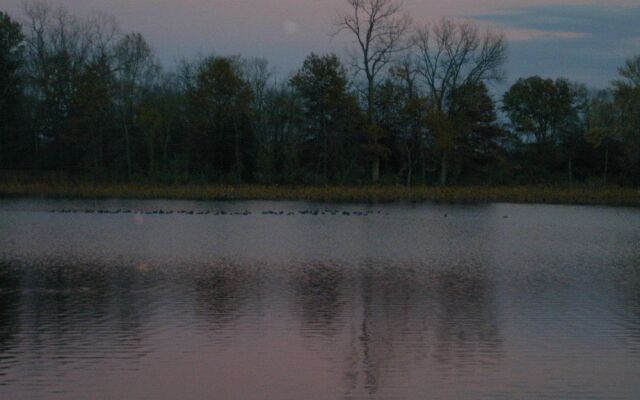 The Cabins at Shale Lake