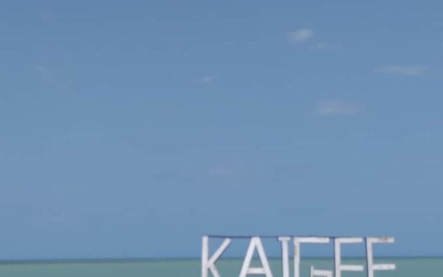 Alojamiento y R Kaigee