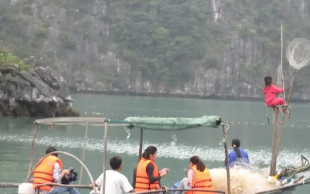 Huong Hai Junks