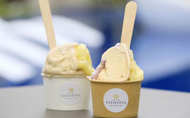 Vivoviva Ishigakijima