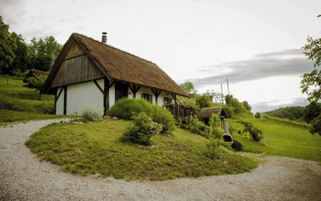 Vineyard Cottage Pavlin 2