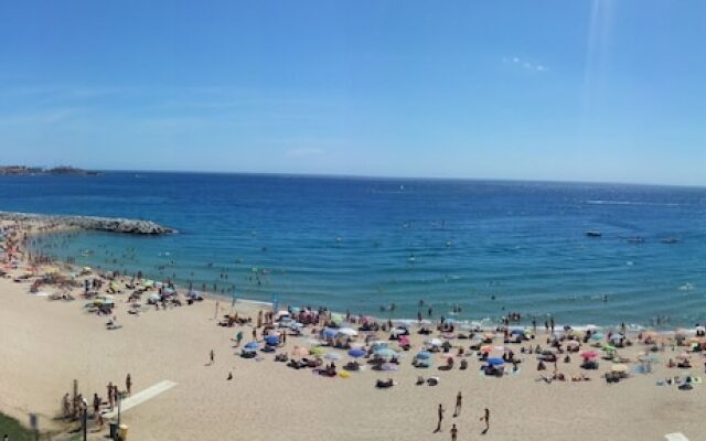 Rosa dels Vents
