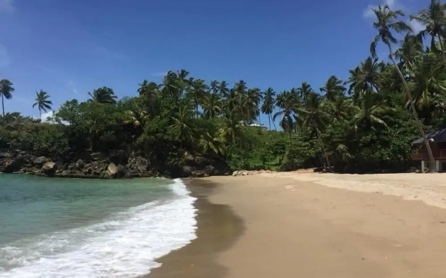 Romance Nest in Samana 7-202