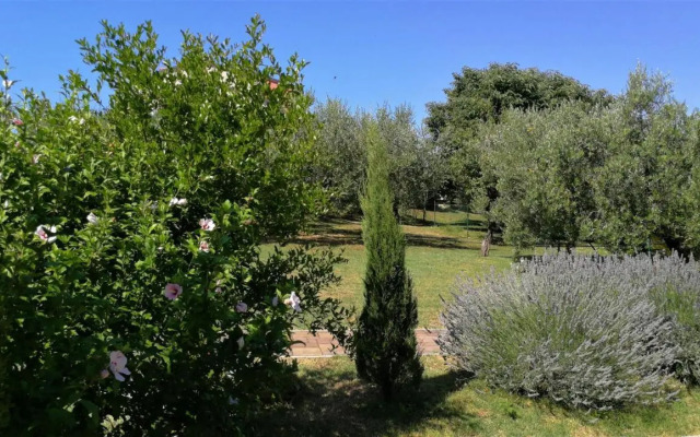 Moratto's Apartments