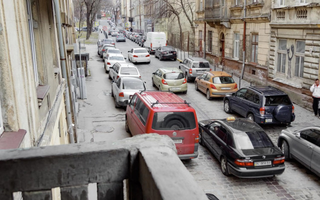 Transitional Havryky Apartment