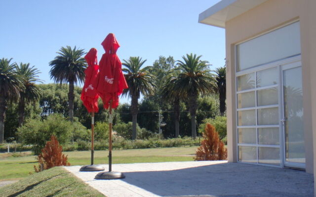 Camino de Palmeras
