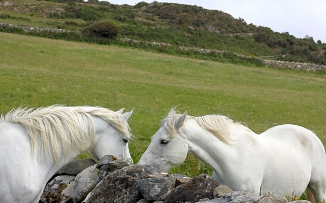 Clifden Bay Lodge