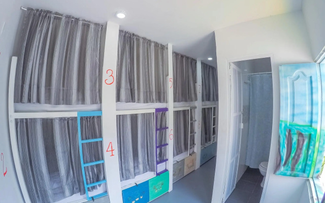 Wonderland Hostel By GB Collection