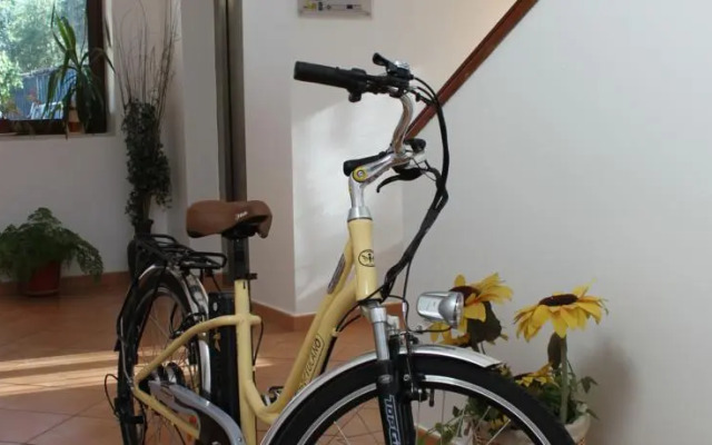 Quinta Monte da Rocha