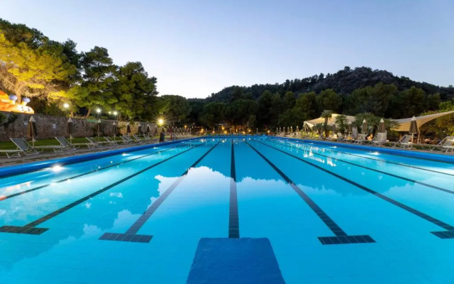 Pugnochiuso Resort - Hotel Degli Ulivi