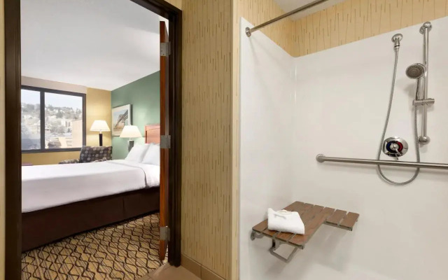 Holiday Inn Hotel & Suites Duluth-Downtown