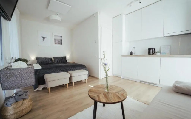 No.1 Apartment in Palanga, Vaivorykštės Apartment