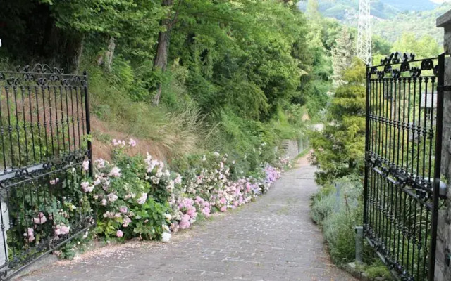 Villa Volpe