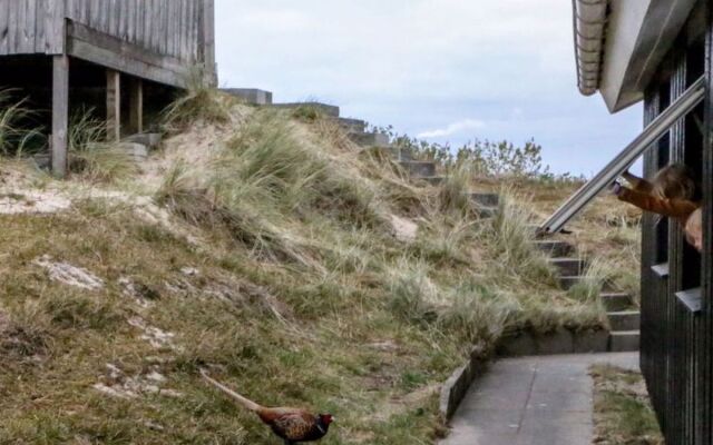 "Tim" - 500m from the sea in Western Jutland