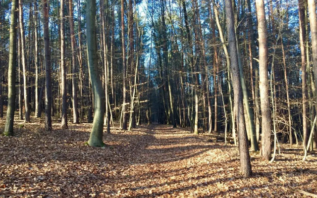 Waldfrühstückspension Familie Toth