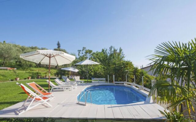 House Olivo Massarosa