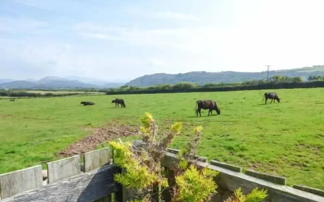 Muncaster View