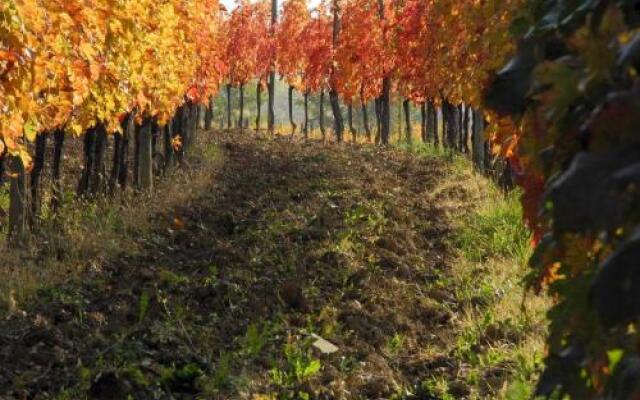 Casali del Picchio - Winery