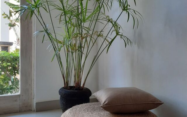 Sahera Dive Resort, Amed