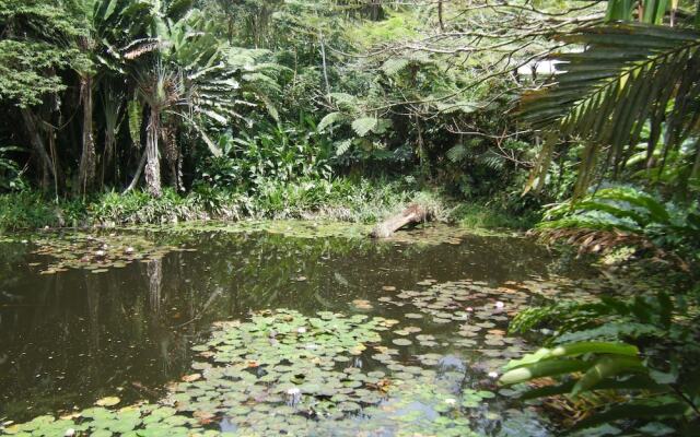 Colo I Suva Rainforest Eco Resort