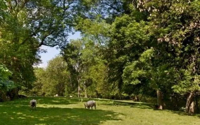 Woodlands Farm