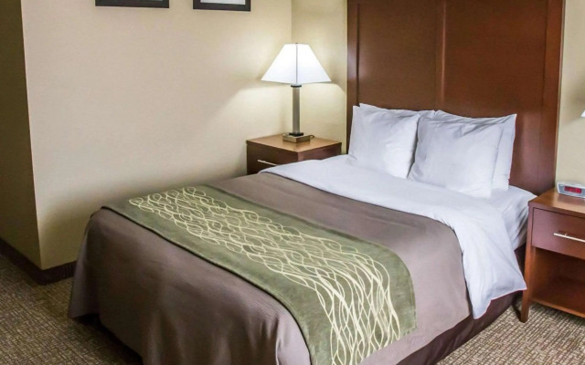 Comfort Inn Morris I-80