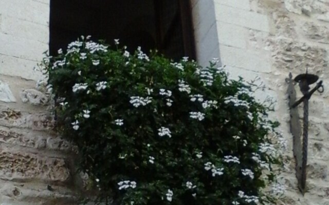 Palazzo Bentivoglio