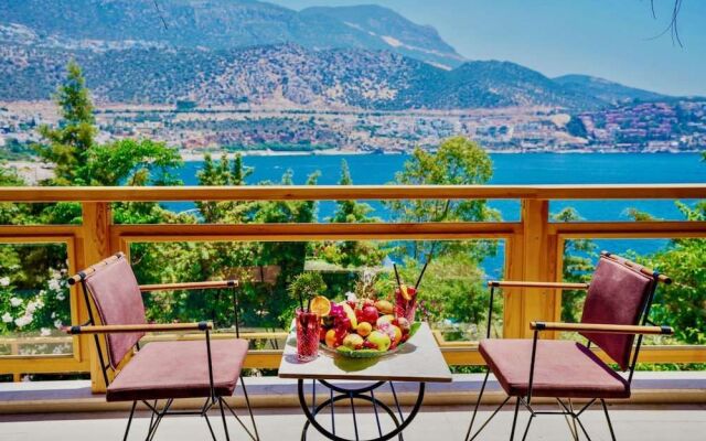 Asfiya Villas