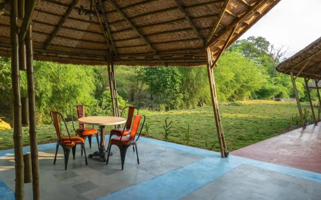 Red Earth Tadoba