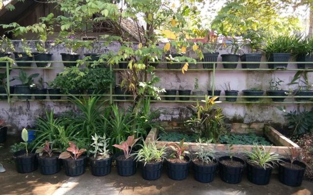 NT backpackers - Hostel