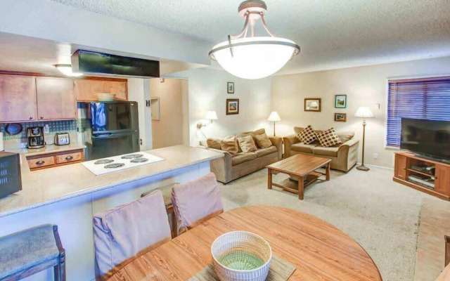 Fireside At Village #105