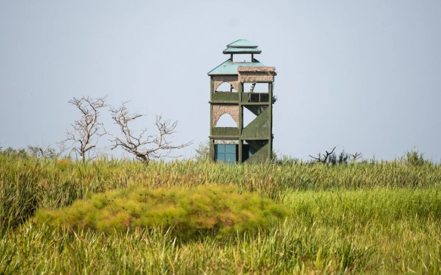 Little Okavango Camp Serengeti
