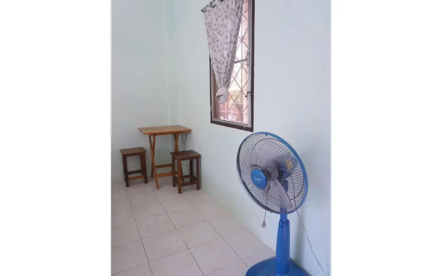 Palmy Home