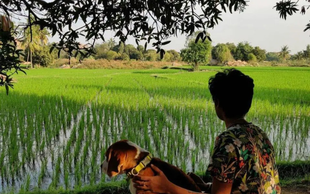 Sunrise Guest House & Restaurant