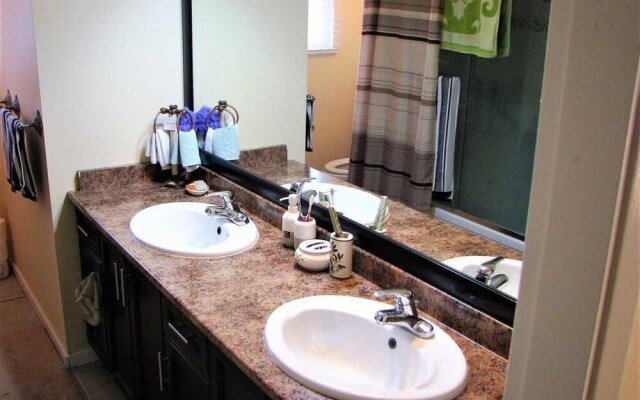 Old plum tree Style Suite