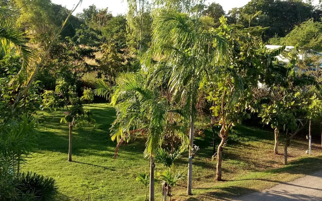 Kienglerng Resort