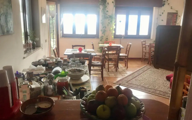 Guest House Osho Sammasati