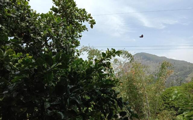 Yoho Little Paradise Homestay