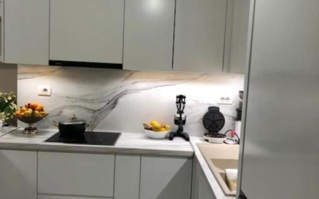 Luxury appartment Citty center