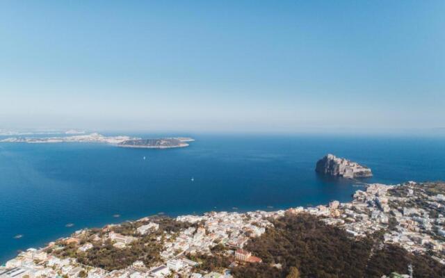 Verbena 19 Ischia