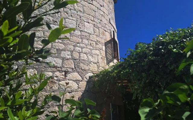 Old Mill