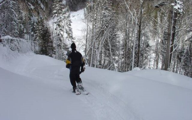 Gîte Aventure Nord Expe