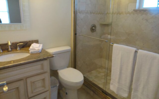 Sand Dollar by RedAwning